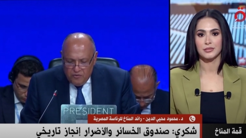 مداخلة هاتفية مع الدكتور محمود محيي الدين، رائد المناخ للرئاسة المصرية