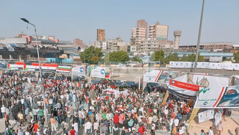 مظاهرات في كفر الشيخ