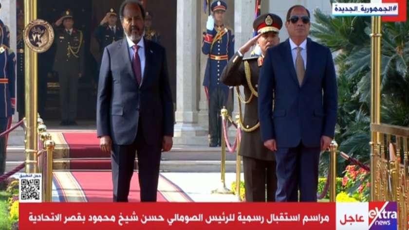 لقاء الرئيس المصري والصومالي
