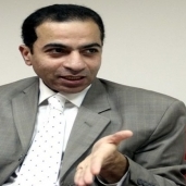 الدكتور هشام ابراهيم، أستاذ التمويل والاستثمار بجامعة القاهرة
