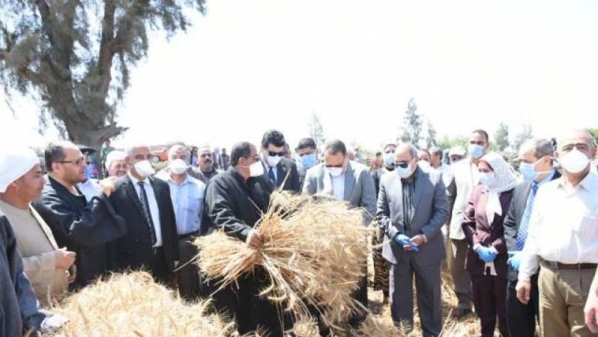بالصور.. محافظ الشرقية يشهد الاحتفال بيوم حصاد القمح بأبو كبير