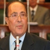 محمود أبو زيد رئيس المجلس العربي للمياه