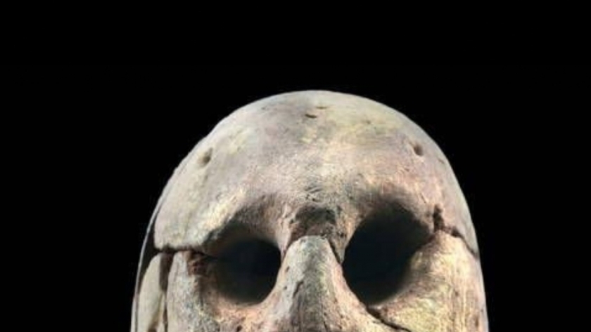 المتحف المصرى بالتحرير يعلن عرض أقدم رأس من الطين بالحضارة المصرية القديمة