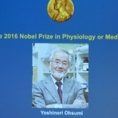 العالم الياباني يوشينوري أوسومي يحصد نوبل الطب لعام 2016