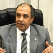 الدكتور عز الدين أبو ستيت، وزير الزراعة واستصلاح الأراضي