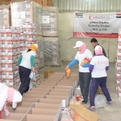 توزيع 350كرتونة غذاية على الأسر الأكثر احتياجًا في كفر الشيخ 