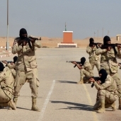 القوات المسلحة تعمل على انتقاء مقاتلى «الدفاع الجوى» وفقاً لمعايير دقيقة لرفع مستواهم التدريبى