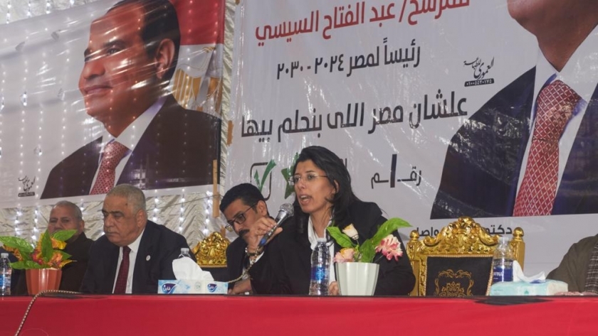 مؤتمر حزب المصريين الأحرار في الدقهلية