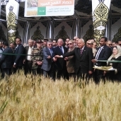عدد من الوزراء خلال حصاد القمح المبرد «صورة أرشيفية»