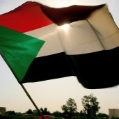 وزير الطاقة السوداني يشيد بدور القاهرة في استقرار الأوضاع في البلاد