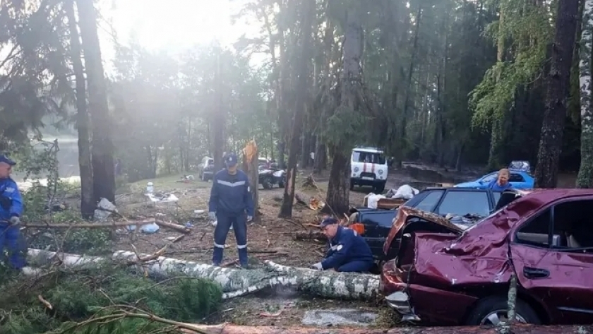 سقوط الأشجار بسبب عواصف روسيا