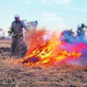 حرق المخلفات الزراعية أساس للسحابة السوداء