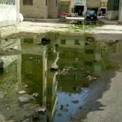 بالصور| مستنقعات الصرف الصحي تحاصر مساكن الجون القديمة بالفيوم