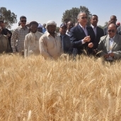عشماوي يشهد حصاد القمح بباريس