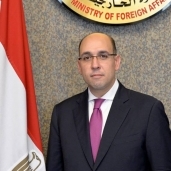 المتحدث باسم وزارة الخارجية-المستشار أحمد حافظ-صورة أرشيفية