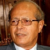 السفير رخا حسن، عضو المجلس المصري للشؤون الخارجية