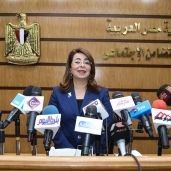 الدكتورة غادة والي وزير التضامن الاجتماعي