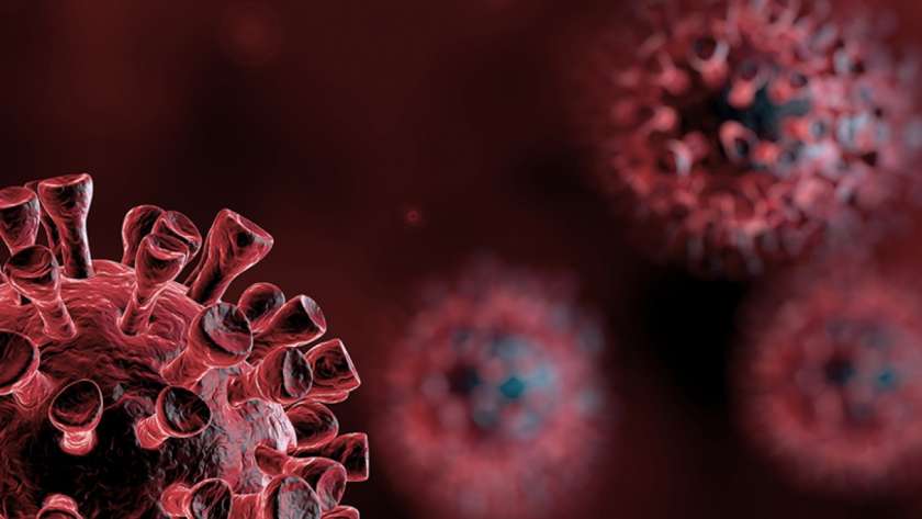 فيروس كورونا- صورة تخيلية أرشيفية