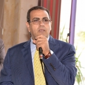 الدكتور محمد القناوي