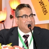 الدكتور السعيد عبد الهادي