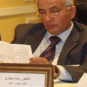 الدكتور رضا السيد حجازي