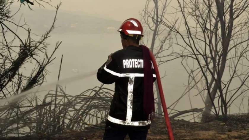 جهود إطفاء حرائق الغابات بالجزائر