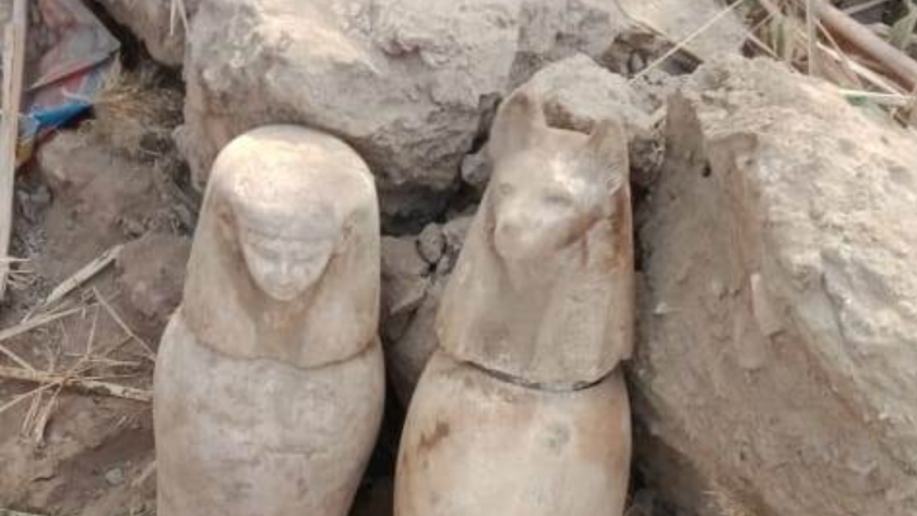 العثور على 4 تماثيل لأبناء الإله حورس بمنطقة آثار إهناسيا ببني سويف