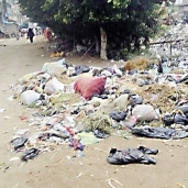الزبالة تغرق شوارع قرى شربين دقهلية