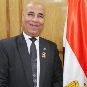 عادل حنفى، نائب رئيس الاتحاد العام للمصريين بالخارج