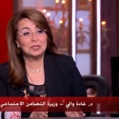 الدكتور غادة والي وزيرة التضامن الاجتماعي
