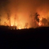 حريق بزراعات "المريناب" في أدفو بأسوان