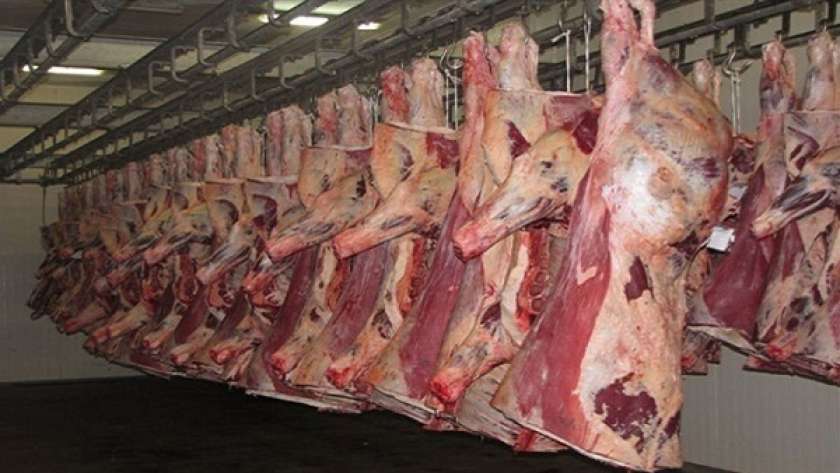 أسعار اللحوم اليوم- تعبيرية