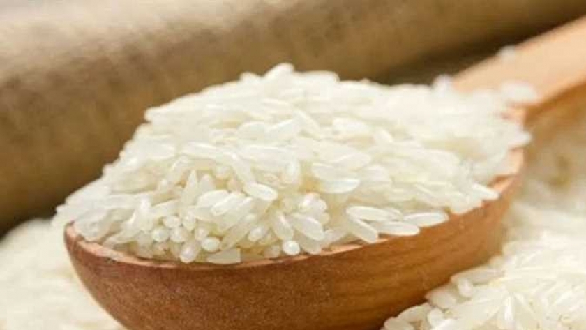 الأرز - صورة أرشيفية