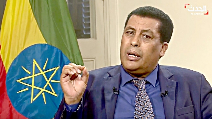 المتحدث باسم الخارجية الإثيوبية السفير دينا مفتي