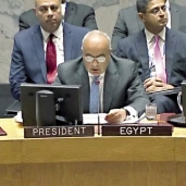 السفير عمرو أبوالعطا أثناء إلقاء بيان مصر أمام مجلس الأمن