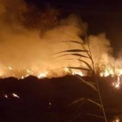 حريق قرية الراشدة في الوادي الجديد