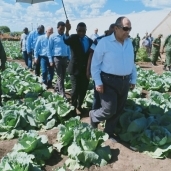 «أبوستيت» أثناء تفقده المزرعة فى زامبيا