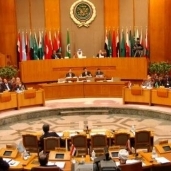 مجلس الدول العربية