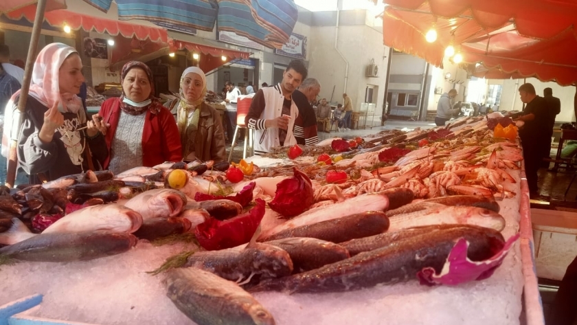 سوق السمك ببورسعيد