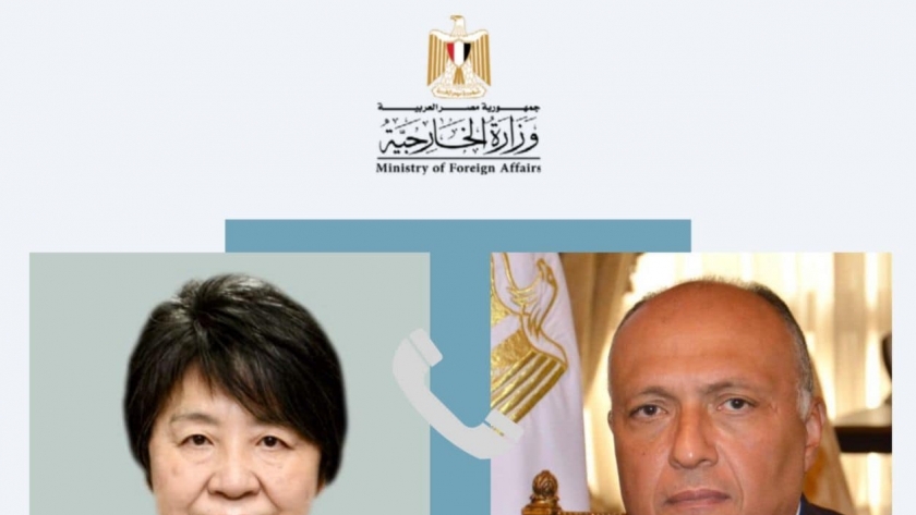 وزير الخارجية المصري ونظيرته اليابانية