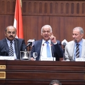 النائب/ فرج عامر، رئيس لجنة الشباب والرياضة