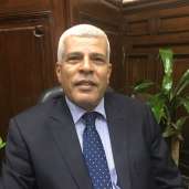 الدكتور سيد خليفة، رئيس قطاع الإرشاد بوزارة الزراعة