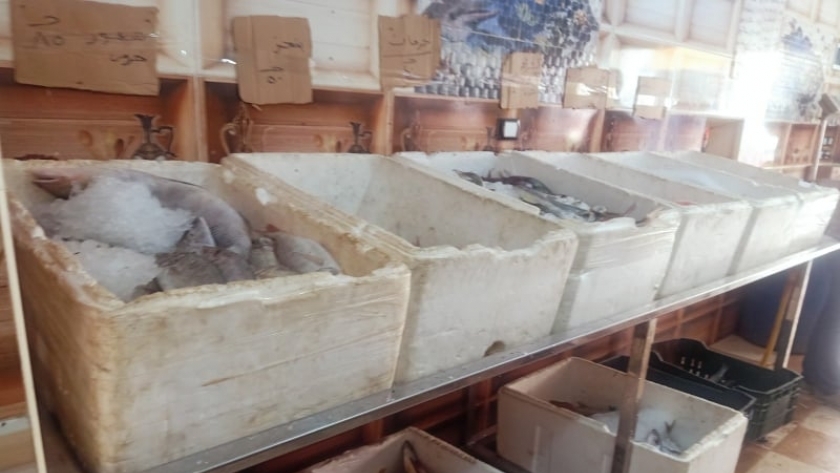 سوق أسماك - أرشيفية