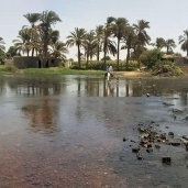 مشايات الجزر النيلية فى بنى سويف