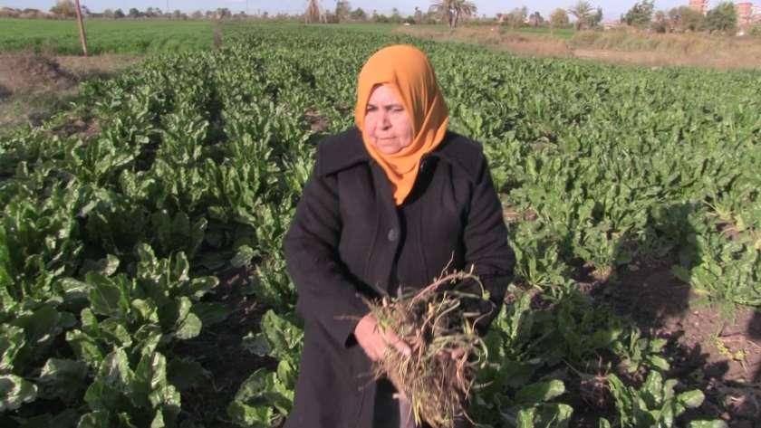ماجدة عزت من صغار المزارعين في المنيا