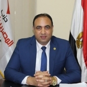 النائب خالد عبدالعزيز فهمي