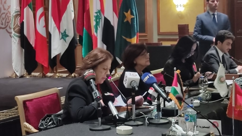 فريال سالم الرئيس التنفيذي لمنظمة المرأة العربية