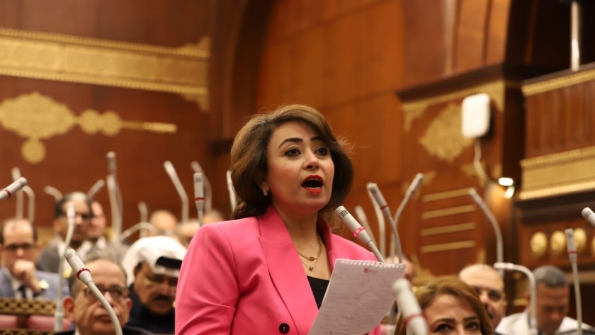 النائبة رشا إسحق أمين سر لجنة حقوق الإنسان بمجلس الشيوخ