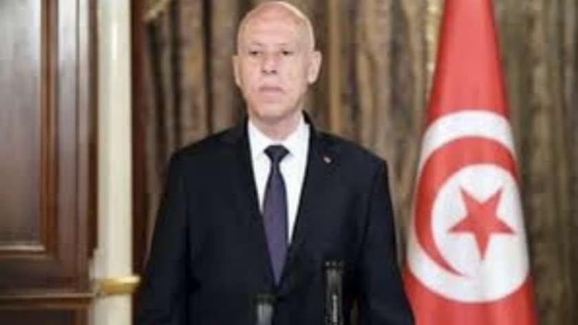 رئيس الحكومة الجديد في تونس.. من هو أحمد الحشاني؟- تعبيرية