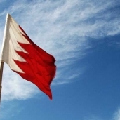البحرين تتضامن مع مصر ضد الإرهاب